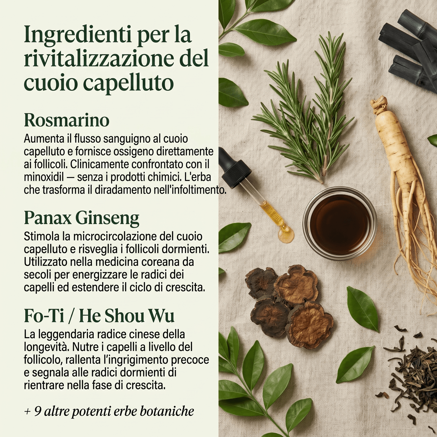 Rituale Coreano Lenitivo per Cuoio Capelluto